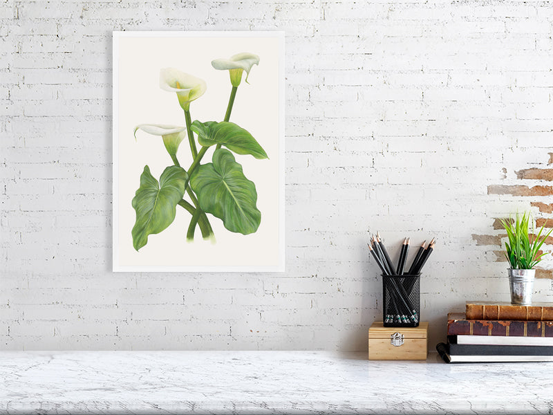 calla lily and other plants watercolor Elegant White Calla Lilies – Botanical Watercolor Art Print – Atelier Grangeon