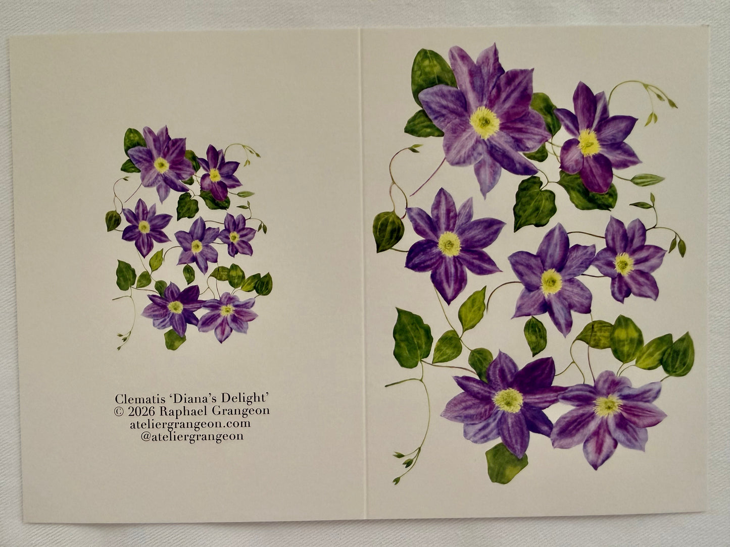 Greeting Card A6 - Clematis Diana's Delight