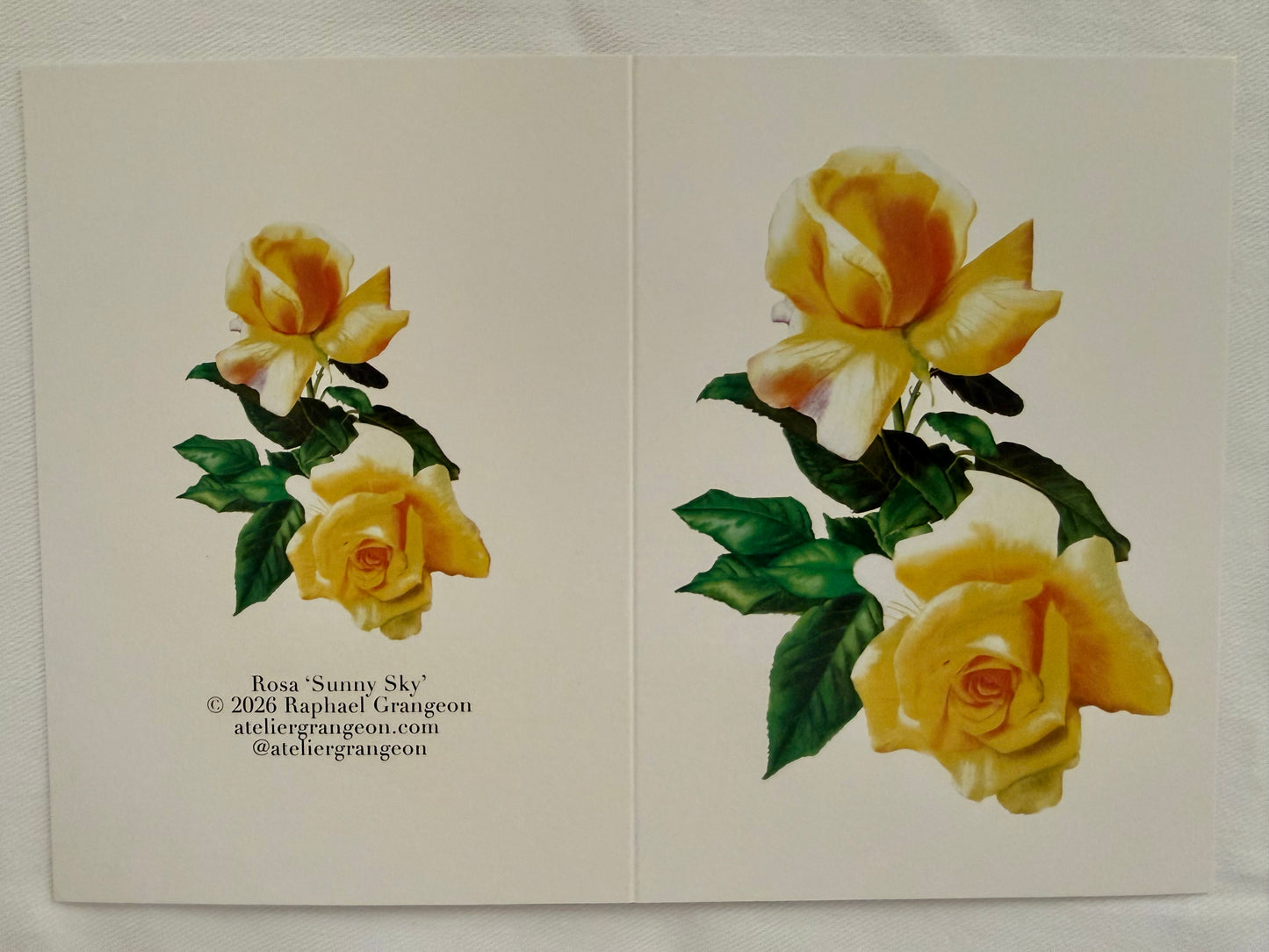 Greeting Card A6 - Rose Sunny Sky