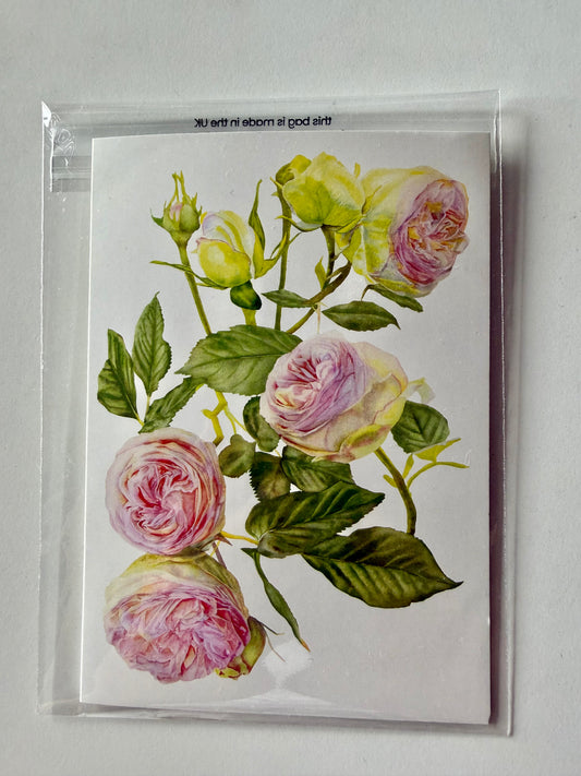Greeting Card A6 - Eden Rose portrait
