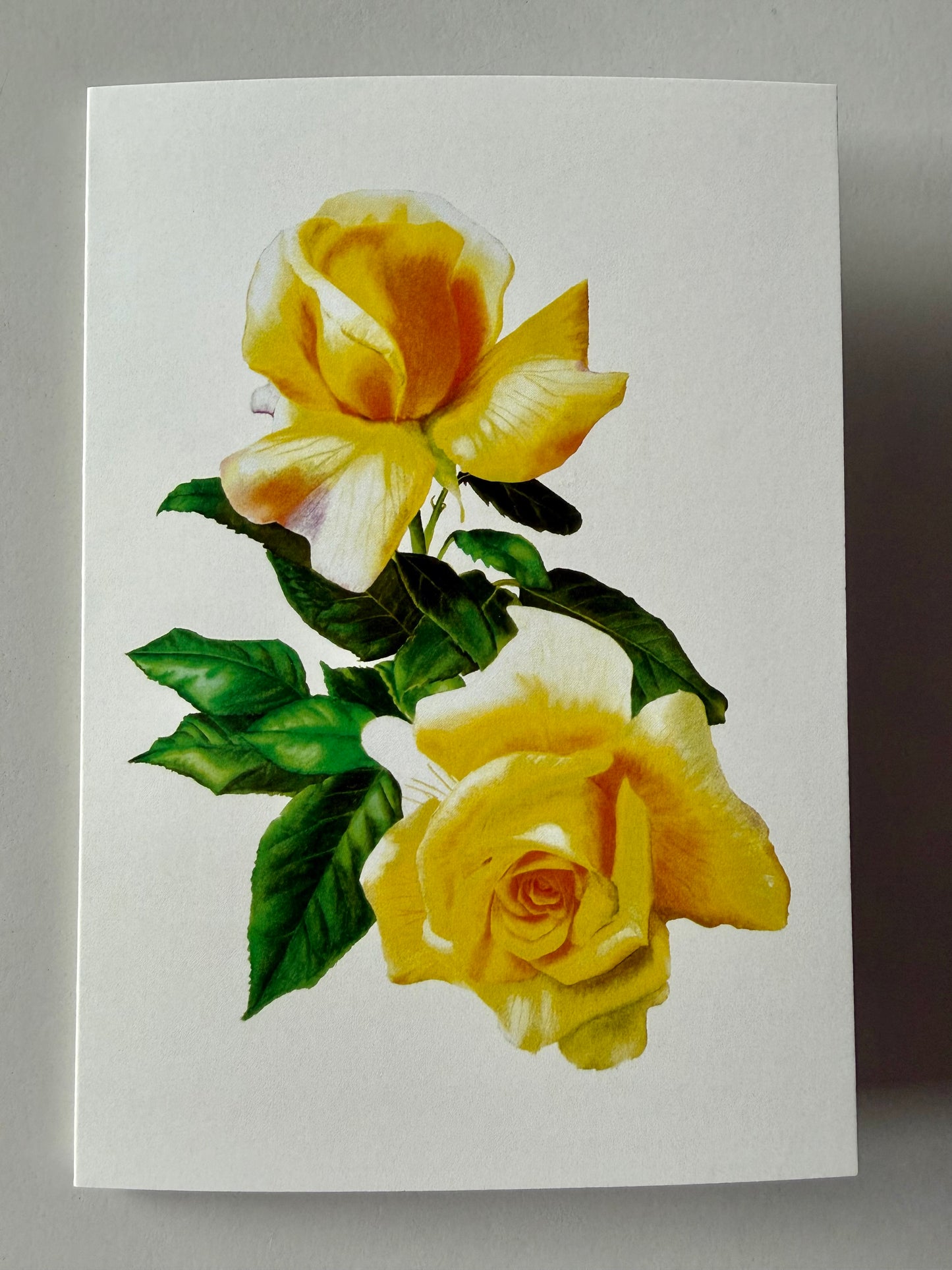 Greeting Card A6 - Rose Sunny Sky