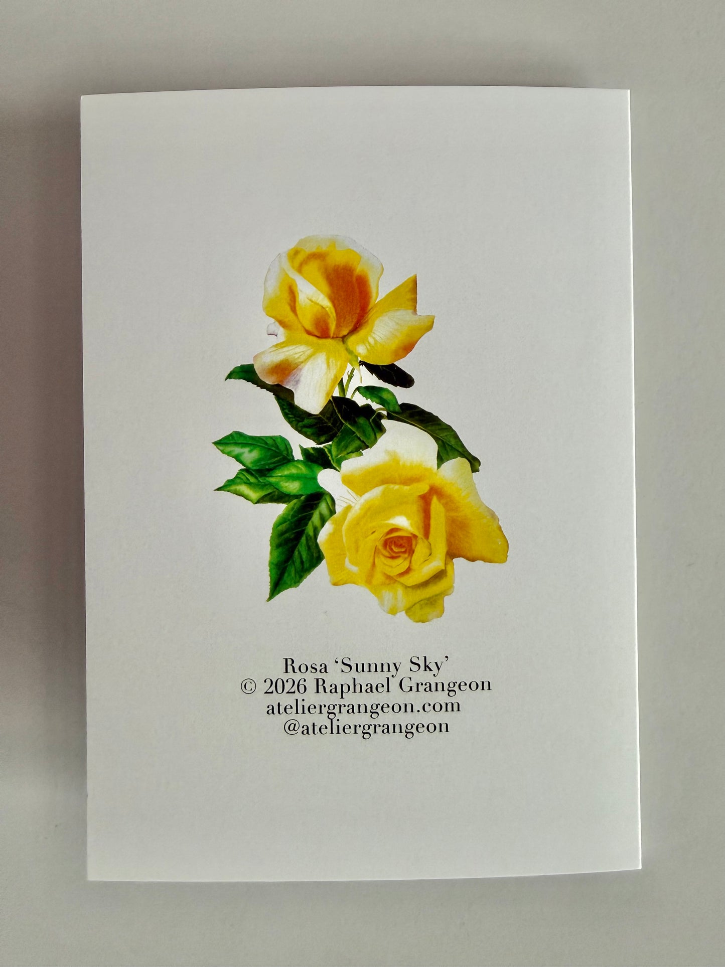 Greeting Card A6 - Rose Sunny Sky