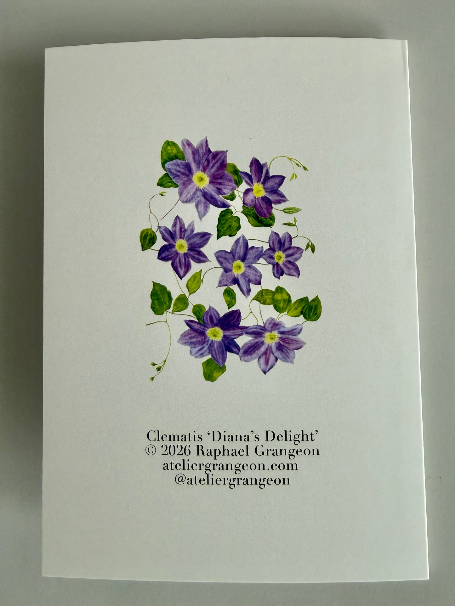Greeting Card A6 - Clematis Diana's Delight
