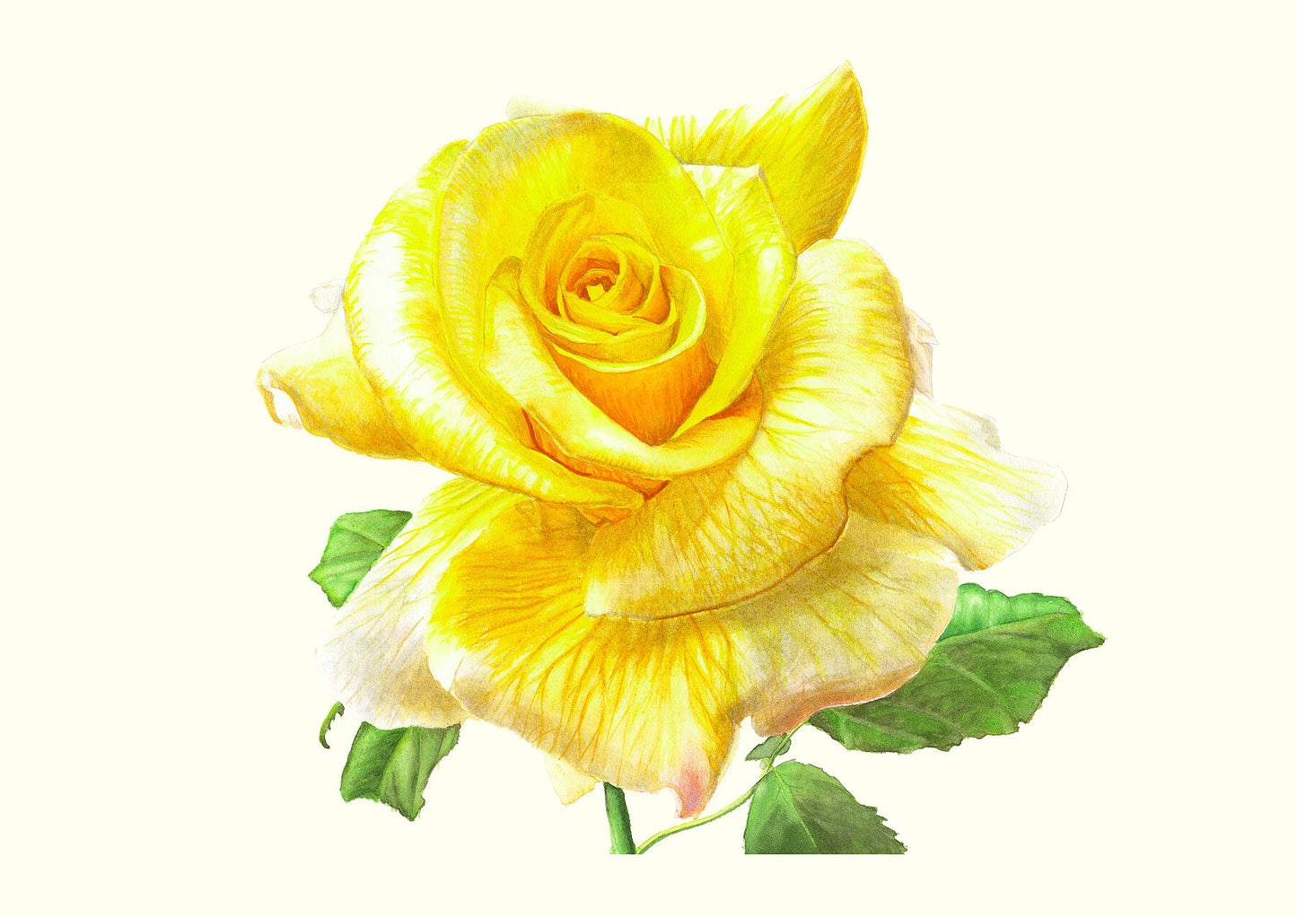 Sunny Sky Yellow Rose Print